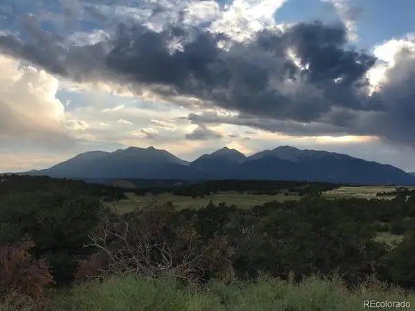 10365 Rawhide Creek, Nathrop, CO 81236