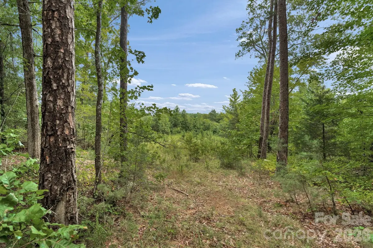 00 Mountain RD, Cleveland, NC 27013