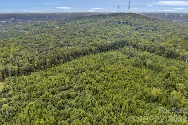 00 Mountain RD, Cleveland, NC 27013