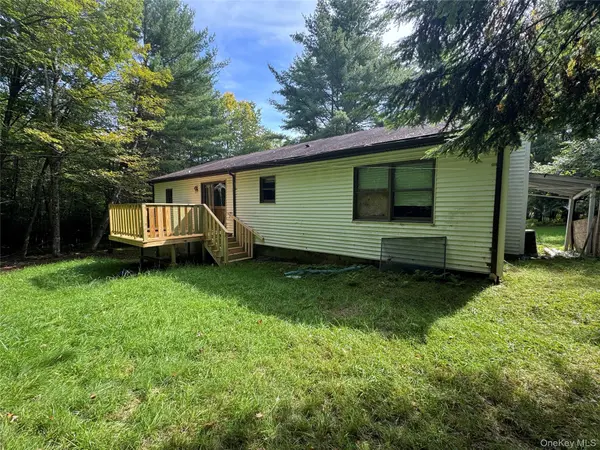 155 Blanchard RD, Swan Lake, NY 12783