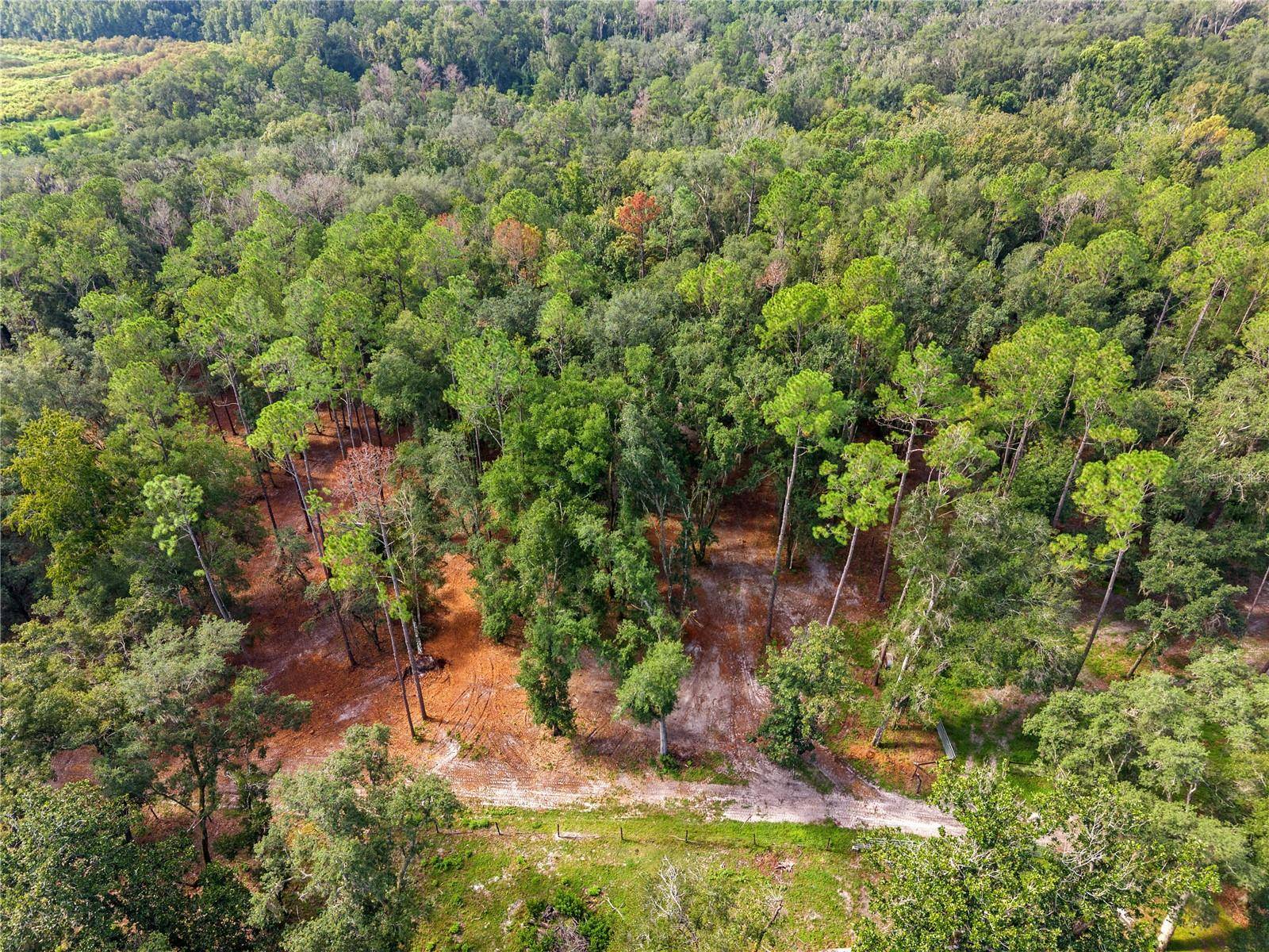 1050 KATIE WOOD TRL, Brooksville