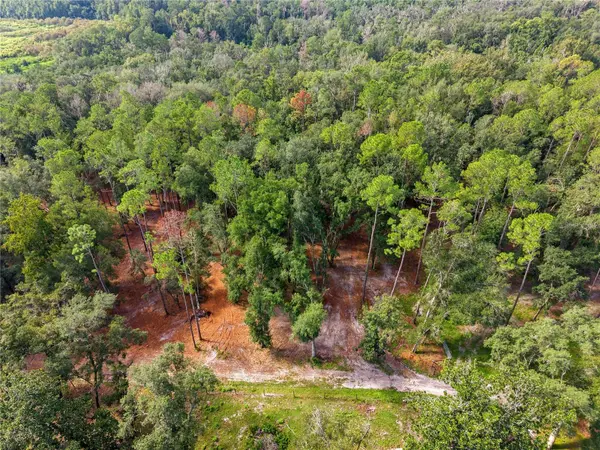 1050 KATIE WOOD TRL, Brooksville, FL 34602