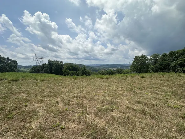 89 Conditt Hollow Rd, Elmwood, TN 38560