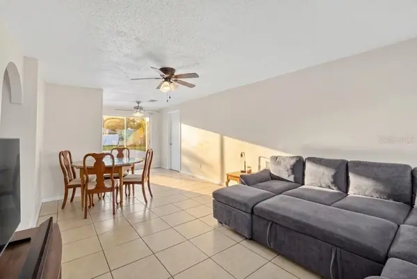 205 MILLER MAC RD, Apollo Beach, FL 33572