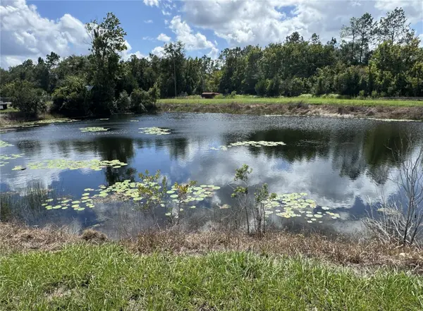402 N CENTER ST, Pierson, FL 32180