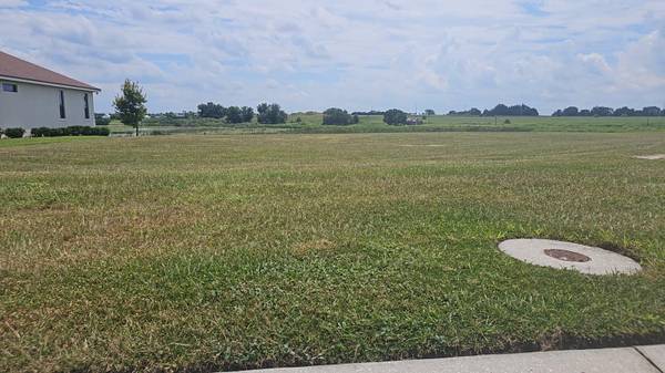120 CALADIUM AVE, Lake Alfred, FL, 33850 photo 4