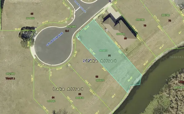 120 CALADIUM AVE, Lake Alfred, FL 33850