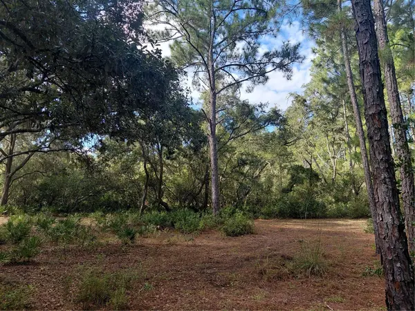 GRINDSTONE DR, Webster, FL 33597