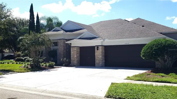 25638 FERDINAND CT, Wesley Chapel, FL 33544