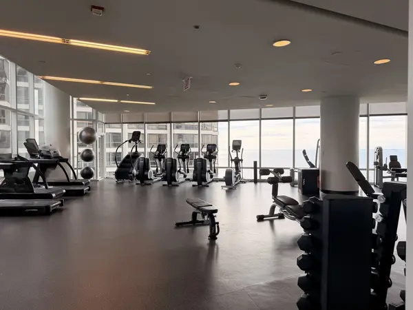 340 E Randolph ST #806, Chicago, IL 60601