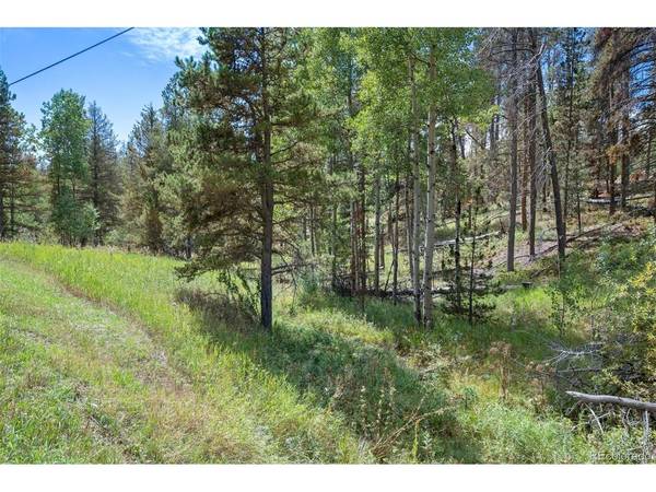 0 Lot 3 Indian Springs, Conifer, CO 80123