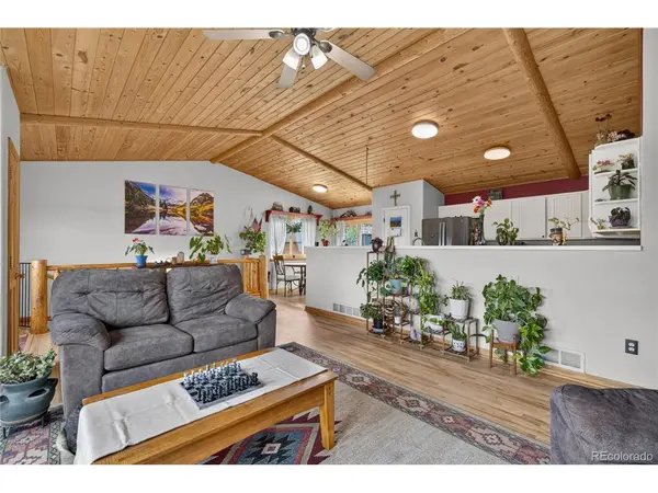 196 Conifer, Bailey, CO 80421