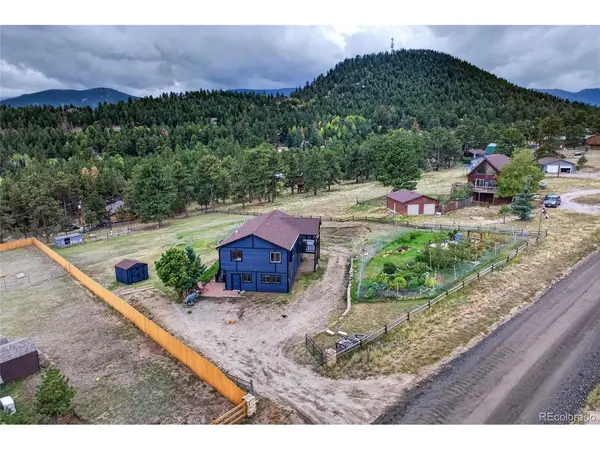 196 Conifer, Bailey, CO 80421