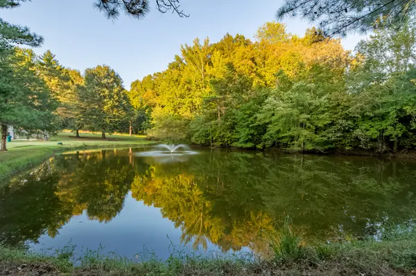 78 Shannon Rd, Leoma, TN 38468