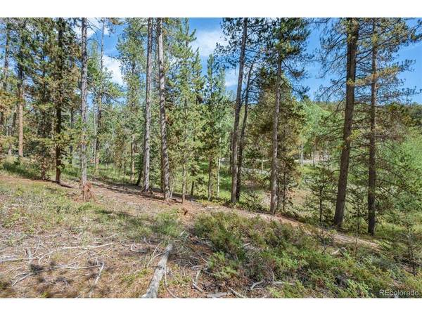 1 Lot 12 Indian Springs Rd, Conifer, CO 80433