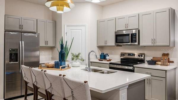 667 NESS ISLAND DRIVE, Mount Dora, FL 32757