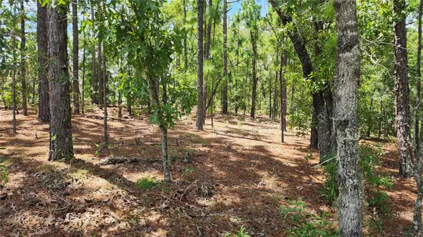 7760 N POCONO DR, Citrus Springs, FL 34434