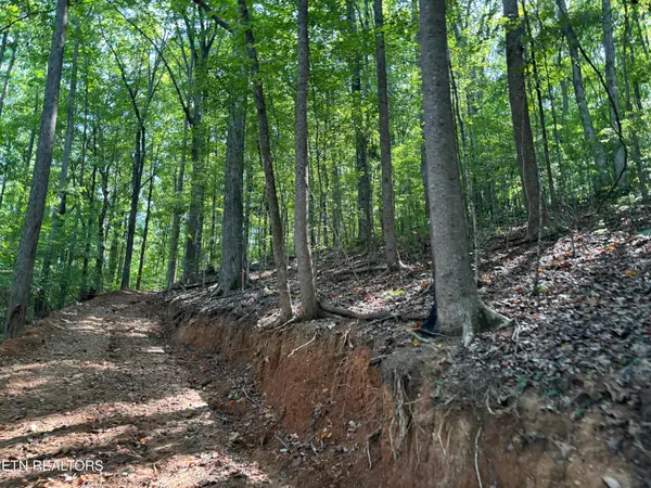 0 County Road 38, Riceville, TN 37370
