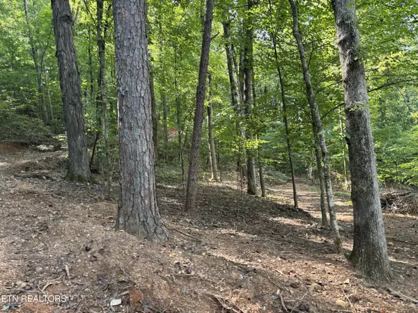 0 County Road 38, Riceville, TN 37370
