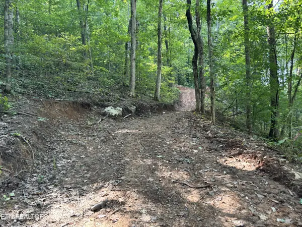 0 County Road 38, Riceville, TN 37370