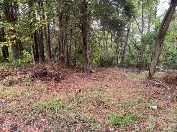 0 Slayton ST, Whitmire, SC 29178