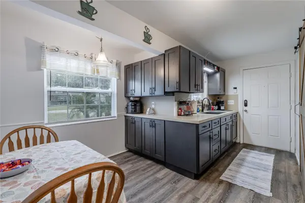 3805 CACTUS LN, Mount Dora, FL 32757