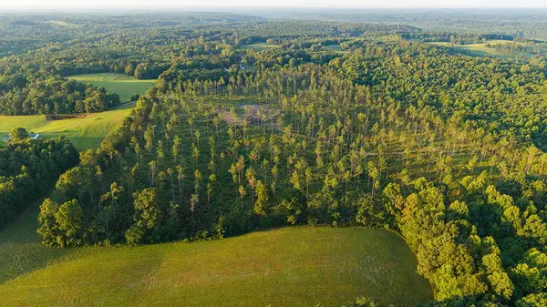1 Gilchrist Road, Cypress Inn, TN 38452