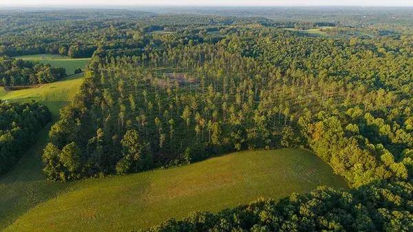 1 Gilchrist Road, Cypress Inn, TN 38452