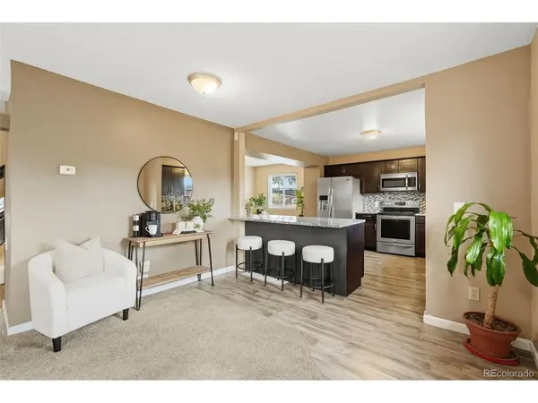 1060 Downing, Denver, CO 80229