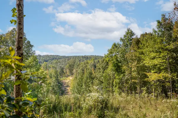 664 Russ Valley Rd, Lobelville, TN 37097