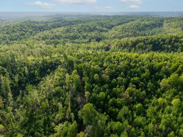 664 Russ Valley Rd, Lobelville, TN 37097