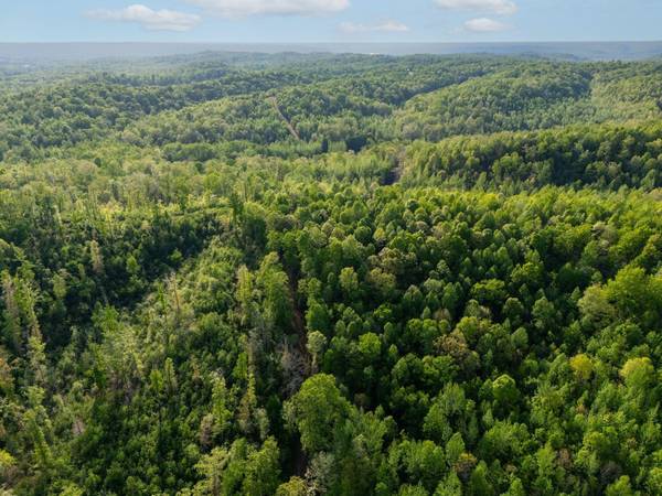 664 Russ Valley Rd, Lobelville, TN 37097