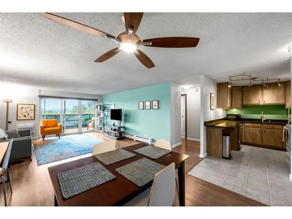 1029 E 8th #504, Denver, CO 80218