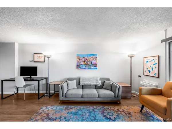 1029 E 8th #504, Denver, CO 80218
