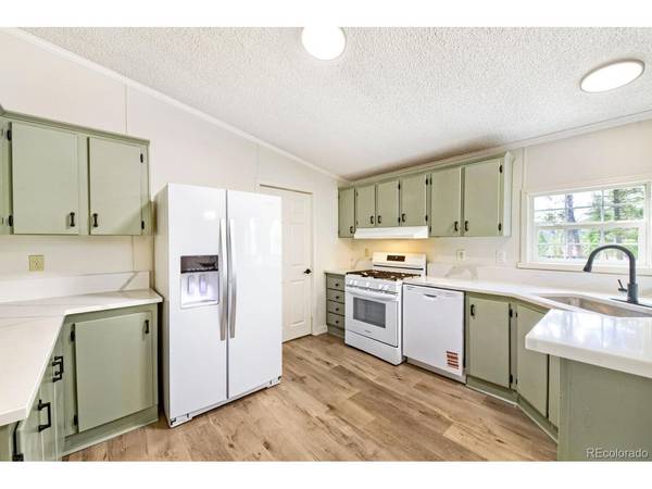 580 Forest, Bailey, CO 80421