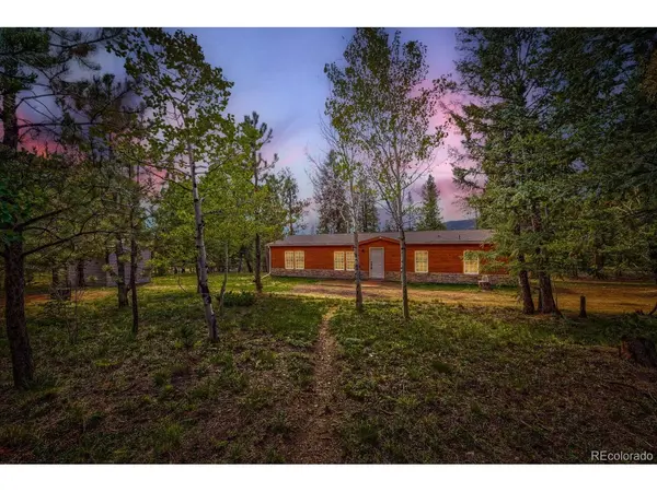 580 Forest, Bailey, CO 80421
