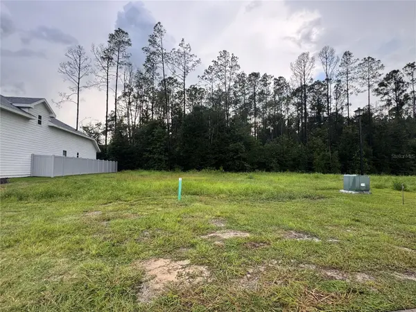 838 SW 145TH DR, Newberry, FL 32669