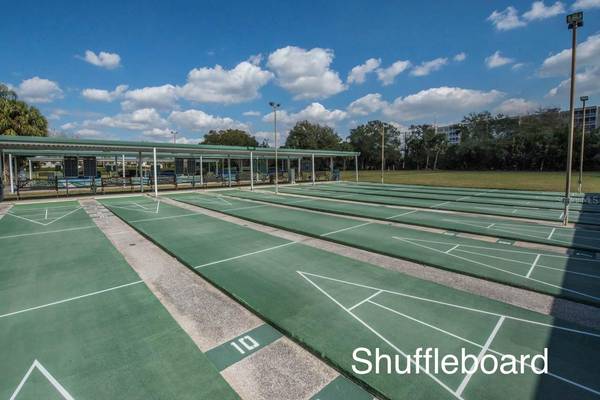 1014 RADISON AVE #11, Sun City Center, FL, 33573 photo 47