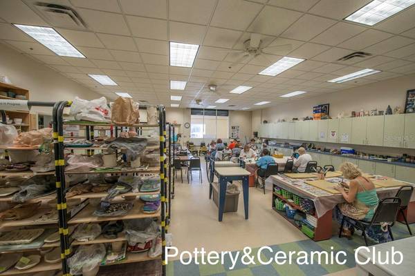 1014 RADISON AVE #11, Sun City Center, FL, 33573 photo 52