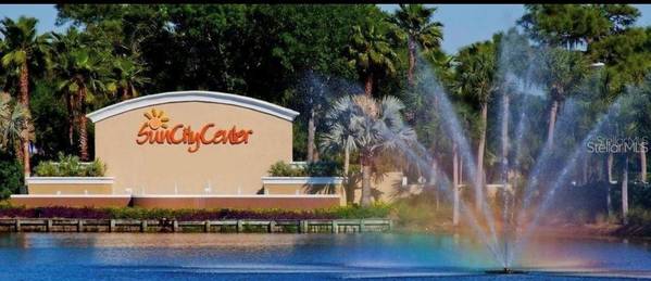 1014 RADISON AVE #11, Sun City Center, FL, 33573 photo 42