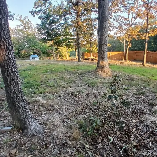 1409 W Buck Hollow DR, Ironton, MO 63650