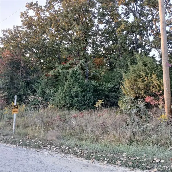 587 W Lakeview DR, Ironton, MO 63650