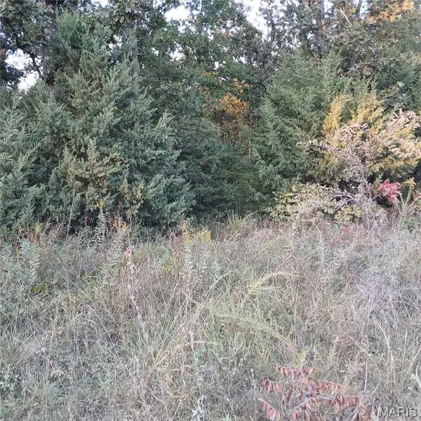 587 W Lakeview DR, Ironton, MO 63650