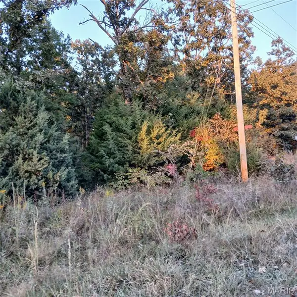 587 W Lakeview DR, Ironton, MO 63650