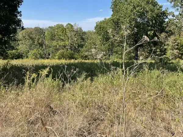 0 Lane Branch RD, Hurley, MO 65675