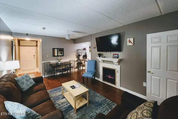 413 Baskins Creek Rd #301, Gatlinburg, TN 37738