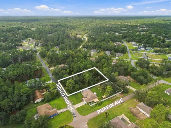 . INDIGO BUNTING RD, Weeki Wachee, FL 34614
