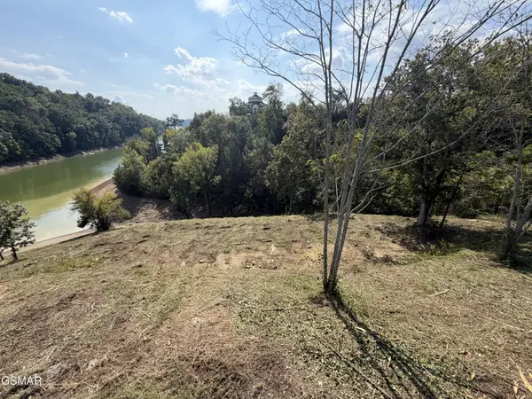 30 Stone Shore Way, Dandridge, TN 37725
