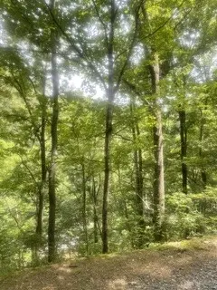 0 Meadow View Road, Sevierville, TN 37862