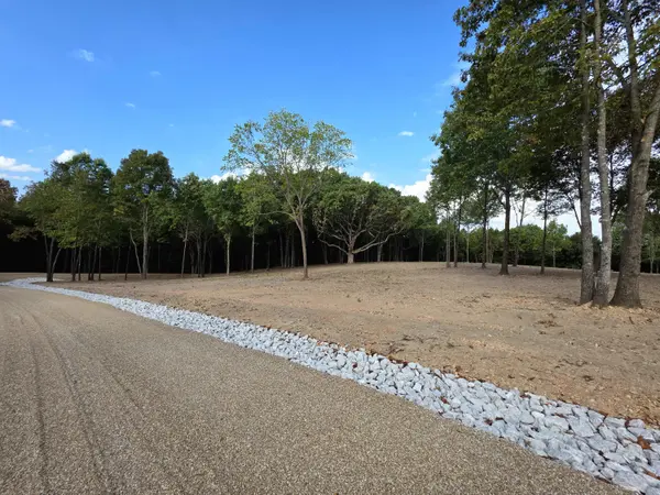 Lot 4 Whispering Windings Court, Walnut Shade, MO 65771